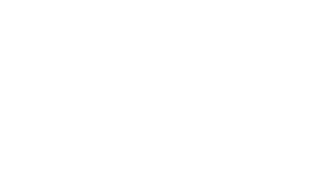 BrunoFix